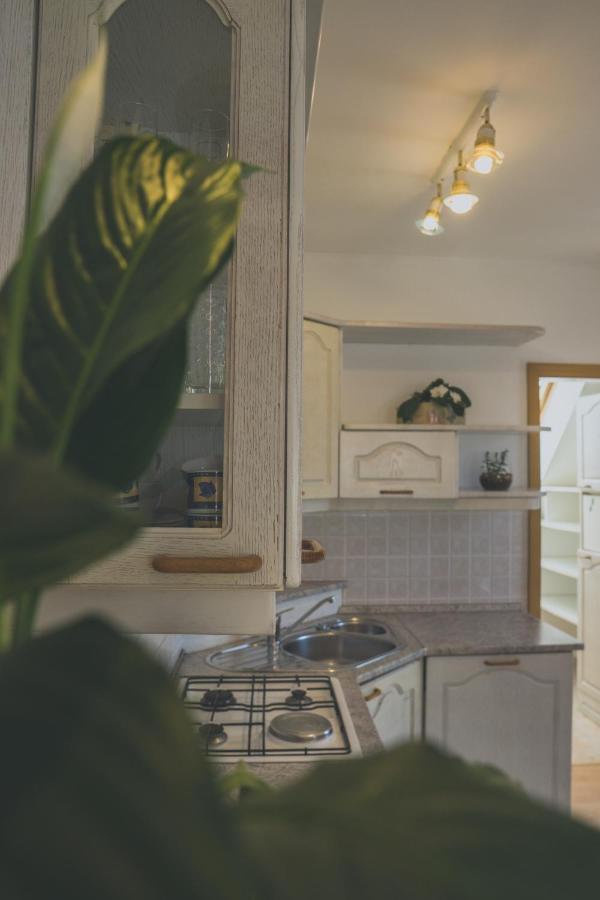 Apartment Amak With Free Onsite Parking Bovec Dış mekan fotoğraf